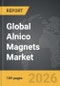 Alnico Magnets - Global Strategic Business Report - Product Thumbnail Image