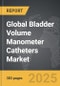 Aircraft Machined Components - Global Strategic Business Report - Product Thumbnail Image