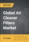 Air Cleaner Filters - Global Strategic Business Report - Product Thumbnail Image