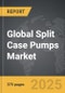 Plasma Powder - Global Strategic Business Report - Product Thumbnail Image