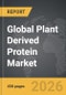 Plant Derived Protein - Global Strategic Business Report - Product Thumbnail Image