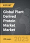 Plant Derived Protein Market - Global Strategic Business Report - Product Thumbnail Image