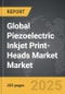 Piezoelectric Inkjet Print-Heads Market - Global Strategic Business Report - Product Image