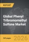 Phenyl Tribromomethyl Sulfone - Global Strategic Business Report - Product Image