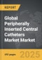 Peripherally Inserted Central Catheters Market - Global Strategic Business Report - Product Thumbnail Image