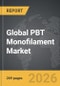 PBT Monofilament - Global Strategic Business Report - Product Thumbnail Image