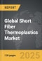 Over-the-Counter Electromagnetic Pulse therapy - Global Strategic Business Report - Product Thumbnail Image