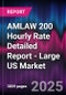 Valeo 2021 - 2025 AMLAW 200 Hourly Rate Detailed Report - Large US Market - Product Thumbnail Image