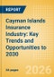 Cayman Islands Insurance Industry: Key Trends and Opportunities to 2030 - Product Thumbnail Image