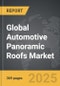 Automotive Panoramic Roofs - Global Strategic Business Report - Product Thumbnail Image