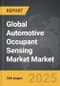 Automotive Occupant Sensing Market - Global Strategic Business Report - Product Thumbnail Image