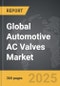 Automotive AC Valves - Global Stategic Business Report - Product Thumbnail Image