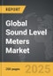 Sound Level Meters - Global Strategic Business Report - Product Thumbnail Image