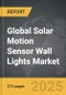 Solar Motion Sensor Wall Lights - Global Stategic Business Report - Product Thumbnail Image