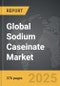 Sodium Caseinate - Global Strategic Business Report - Product Thumbnail Image