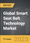 Smart Seat Belt Technology - Global Strategic Business Report - Product Thumbnail Image