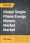 Single-Phase Energy Meters Market - Global Strategic Business Report - Product Thumbnail Image