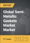 Semi-Metallic Gaskets Market - Global Strategic Business Report - Product Image