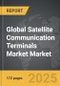 Satellite Communication Terminals Market - Global Strategic Business Report - Product Image