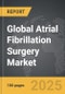 Atrial Fibrillation Surgery - Global Strategic Business Report - Product Thumbnail Image