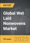 Wet Laid Nonwovens - Global Strategic Business Report - Product Thumbnail Image