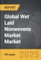 Wet Laid Nonwovens Market - Global Strategic Business Report - Product Image