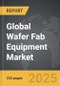 Wafer Fab Equipment - Global Strategic Business Report - Product Thumbnail Image