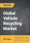 Vehicle Recycling - Global Strategic Business Report - Product Thumbnail Image