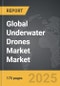Underwater Drones Market - Global Strategic Business Report - Product Thumbnail Image