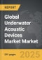 Underwater Acoustic Devices Market - Global Strategic Business Report - Product Thumbnail Image