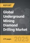 Underground Mining Diamond Drilling - Global Strategic Business Report - Product Thumbnail Image
