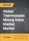 Thermostatic Mixing Valve Market - Global Strategic Business Report - Product Thumbnail Image