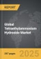 Tetraethylammonium Hydroxide - Global Stategic Business Report - Product Thumbnail Image