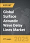 Surface Acoustic Wave Delay Lines - Global Stategic Business Report - Product Thumbnail Image