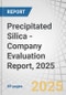 Precipitated Silica - Company Evaluation Report, 2025 - Product Thumbnail Image
