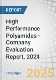 High Performance Polyamides - Company Evaluation Report, 2024- Product Image