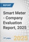 Smart Meter - Company Evaluation Report, 2025 - Product Thumbnail Image