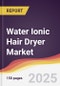Water Ionic Hair Dryer Market Report: Trends, Forecast and Competitive Analysis to 2031 - Product Thumbnail Image