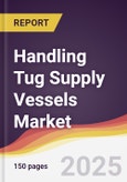Handling Tug Supply Vessels Market Report: Trends, Forecast and Competitive Analysis to 2031- Product Image