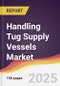 Handling Tug Supply Vessels Market Report: Trends, Forecast and Competitive Analysis to 2031 - Product Thumbnail Image