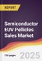 Semiconductor EUV Pellicles Sales Market Report: Trends, Forecast and Competitive Analysis to 2031 - Product Thumbnail Image