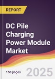 DC Pile Charging Power Module Market Report: Trends, Forecast and Competitive Analysis to 2031- Product Image