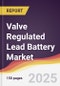 Valve Regulated Lead Battery Market Report: Trends, Forecast and Competitive Analysis to 2031 - Product Image