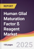 Human Glial Maturation Factor ß Reagent Market Report: Trends, Forecast and Competitive Analysis to 2031- Product Image
