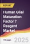 Human Glial Maturation Factor ? Reagent Market Report: Trends, Forecast and Competitive Analysis to 2031 - Product Thumbnail Image