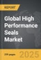 High Performance Seals - Global Stategic Business Report - Product Thumbnail Image