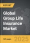 Group Life Insurance - Global Strategic Business Report - Product Thumbnail Image