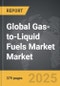 Gas-to-Liquid Fuels Market - Global Strategic Business Report - Product Thumbnail Image