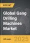 Gang Drilling Machines - Global Strategic Business Report - Product Thumbnail Image