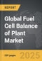 Fuel Cell Balance of Plant - Global Strategic Business Report - Product Thumbnail Image